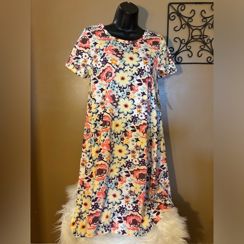 🆕 Lularoe Carly Dress XS